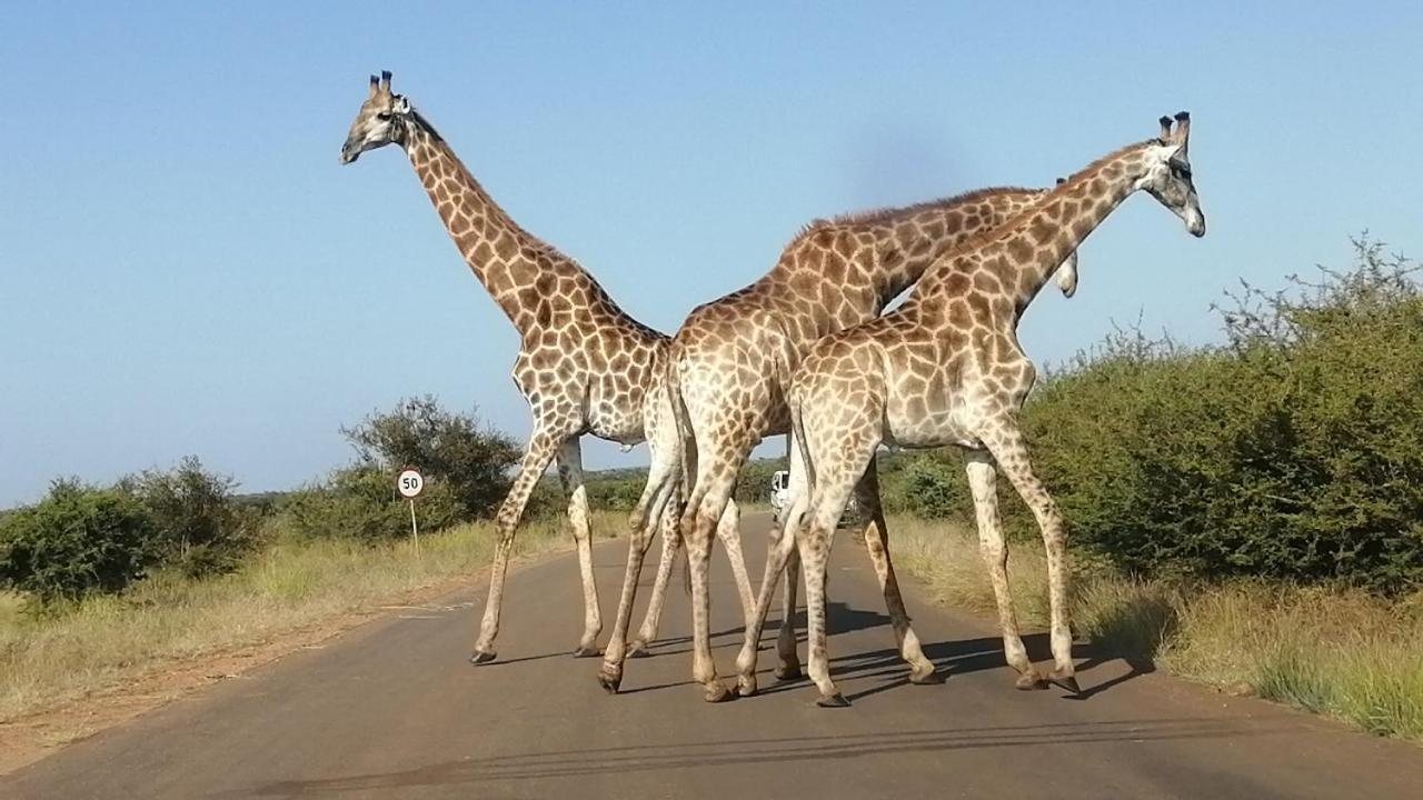Yebo Safari Tents-stay Inside Kruger *